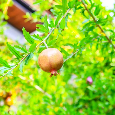 فندق سوناتا