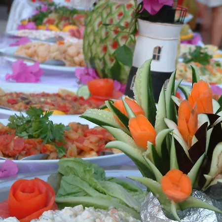 سوناتا فندق 3*